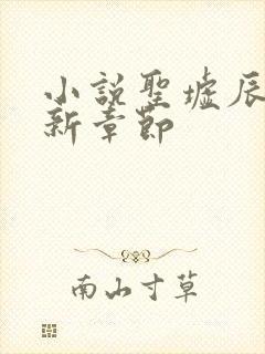 小说圣墟辰东最新章节封面