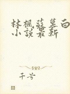 林枫苏慕白穿越小说最新