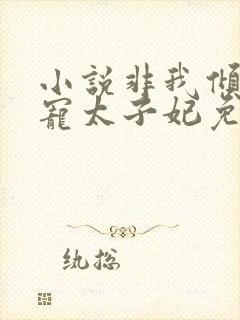 小说非我倾城独宠太子妃免费阅读