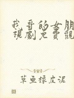 我哥的女朋友电视剧免费观看高清版