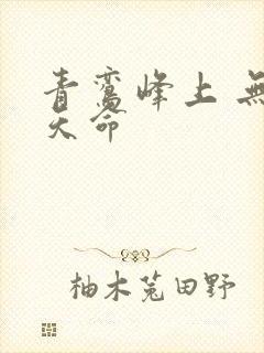 青鸾峰上 无敌天命封面