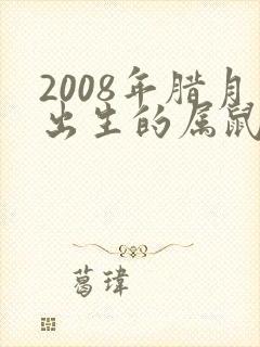 2008年腊月出生的属鼠的好不好