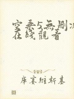 空乘5无删减版在线观看封面