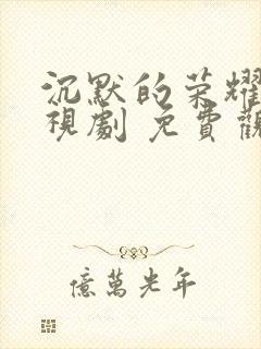 沉默的荣耀 电视剧 免费观看