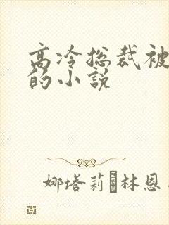 高冷总裁被催眠的小说封面