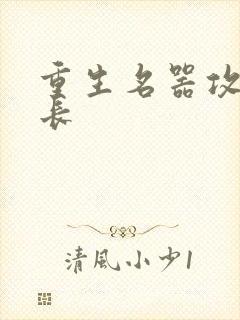 重生名器攻略兄长