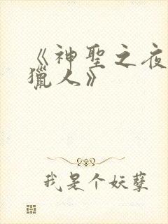 《神圣之夜恶魔猎人》