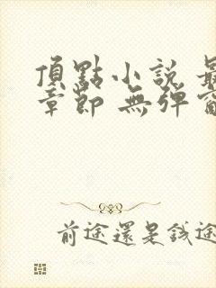 顶点小说 最新章节 无弹窗