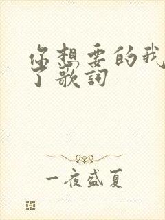 你想要的我给不了歌词