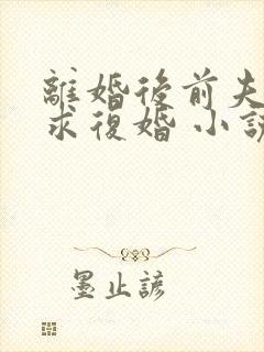 离婚后前夫哭着求复婚 小说阅读