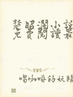 楚昭澜小说全文免费阅读最新章节封面