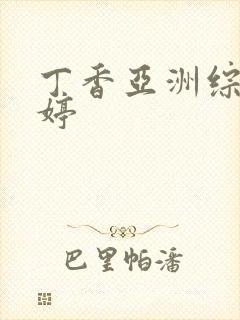 丁香亚洲综合婷婷