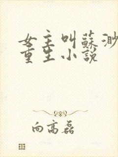 女主叫苏渺渺的重生小说封面