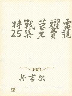 特战荣耀电视剧25集免费观看