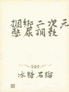 捆绑二次元白丝憋尿调教