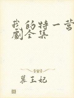 我的特一营电视剧全集封面