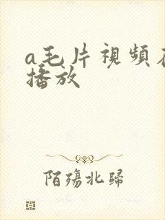 a毛片视频在线播放