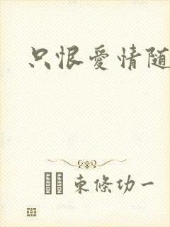 只恨爱情随了风封面