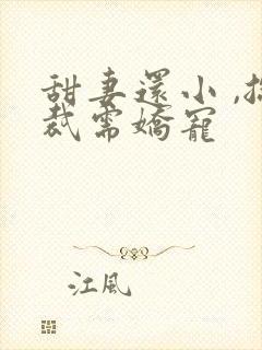 甜妻还小 ,总裁需娇宠