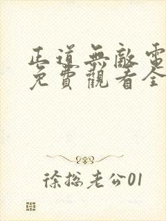 正道无敌电视剧免费观看全集完整版