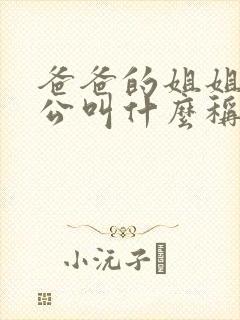 爸爸的姐姐的老公叫什么称呼