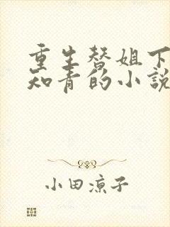 重生替姐下乡当知青的小说封面