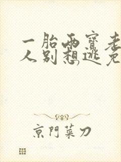 一胎两宝老婆大人别想逃免费阅读全文小说