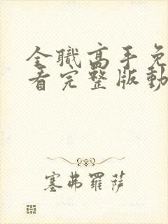 全职高手免费观看完整版动漫第三季