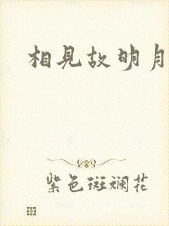 相见故明月封面