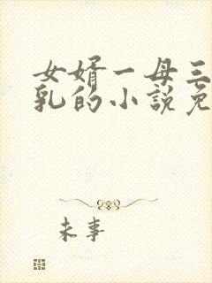 女婿一母三女巨乳的小说免费阅读封面