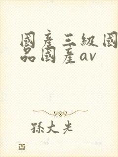 国产三级国产精品国产av