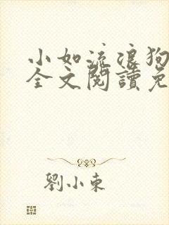 小如流浪狗01全文阅读免费无弹窗封面