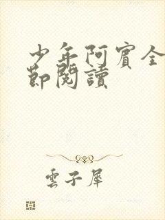 少年阿宾全文章节阅读