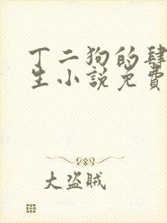 丁二狗的肆意人生小说免费