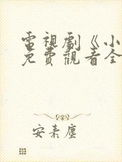 电视剧《小舅》免费观看全集高清封面