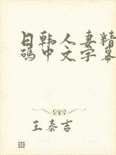 日韩人妻精品有码中文字幕封面