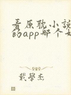 看原耽小说免费的app哪个好用封面