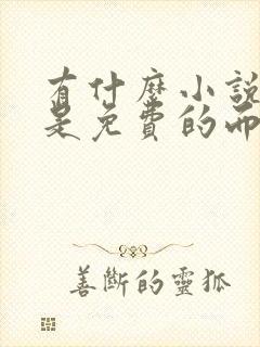 有什么小说软件是免费的而且小说齐全