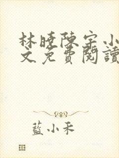 林晓陈宇小说全文免费阅读封面