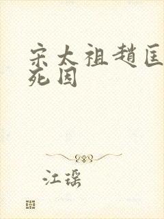 宋太祖赵匡胤的死因封面