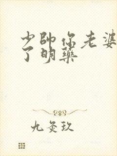 少帅你老婆又跑了明药封面