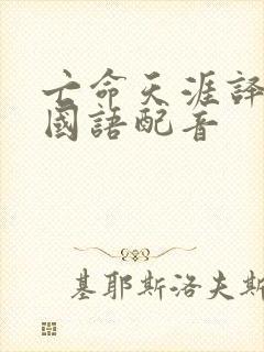 亡命天涯译制片国语配音