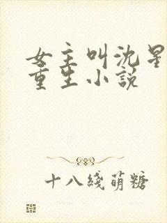 女主叫沈星辰的重生小说