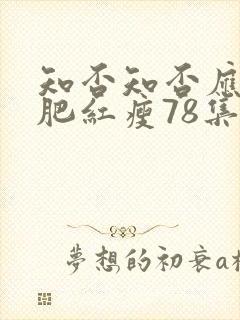 知否知否应是绿肥红瘦78集