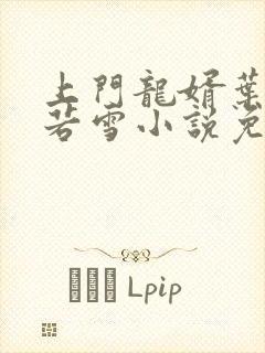 上门龙婿叶凡唐若雪小说免费阅读封面