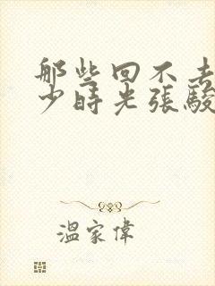 那些回不去的年少时光张骏结局封面