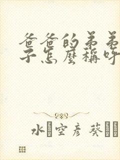 爸爸的弟弟的妻子怎么称呼