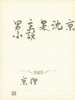 男主是沈京寒的小说