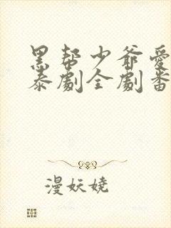 黑帮少爷爱上我泰剧全剧番外