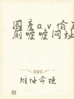 国产aⅴ偷窥女厕嘘嘘网址封面